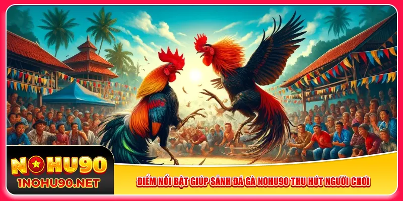 Điểm nổi bật giúp sảnh đá gà Nohu90 thu hút người chơi